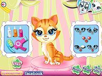 Pets Beauty Salon