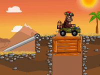 Magic Safari