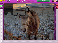Jigsaw World Horses
