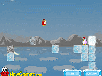 Lonely Penguin