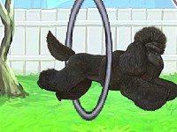 Line Climber