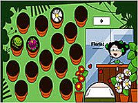 The Florist Game