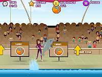 My Dolphin Show